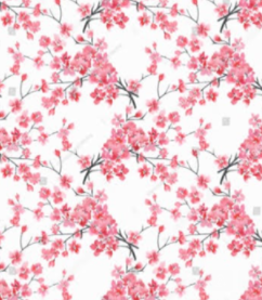 White with Pink Cherry Blossom