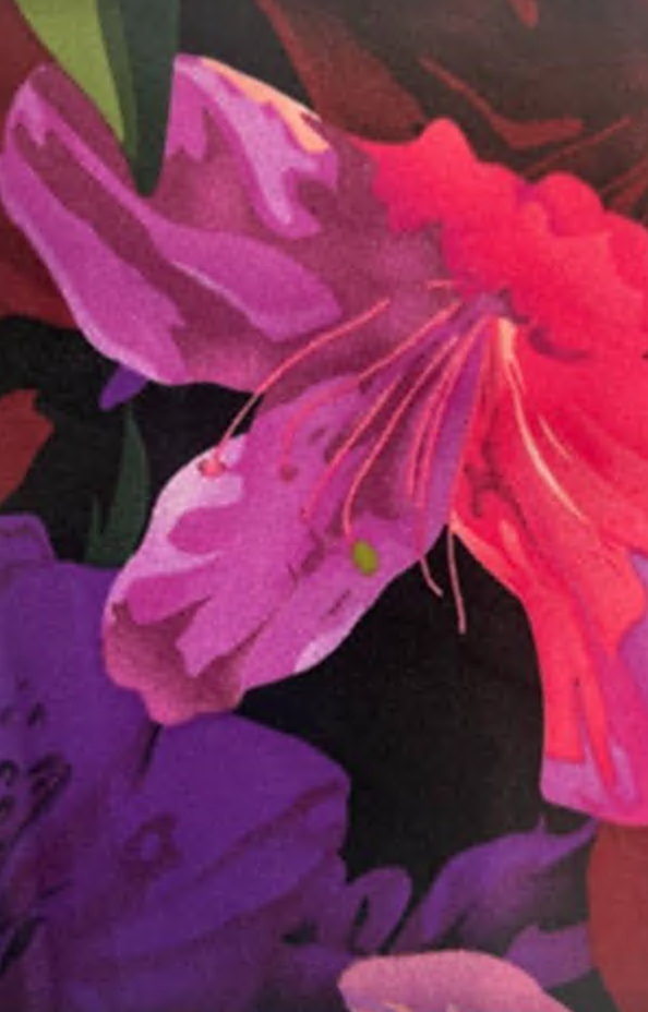 Black with Purple Floral Chiffon