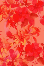 Red & Coral Floral