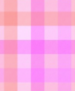 Pink With Purple Gingham
