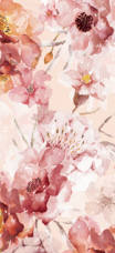 Blush with Pink Floral
