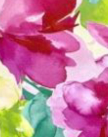 Magenta with Green Floral