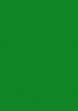 Green Swiss Dot