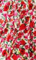 White with Red Floral