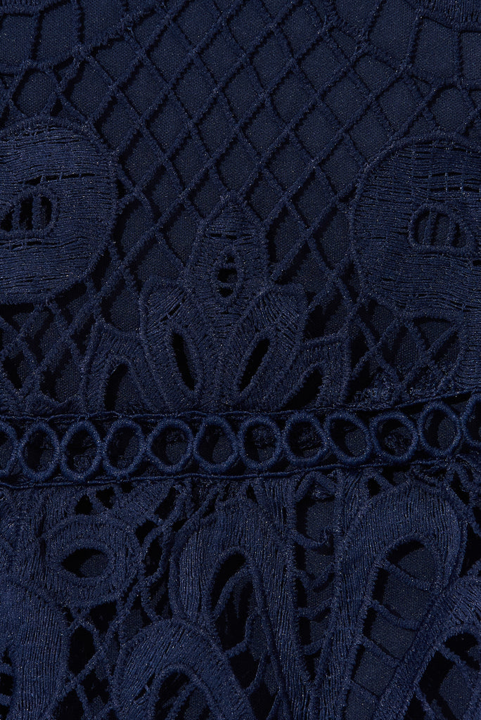 Norelle Lace Dress In Navy - fabric