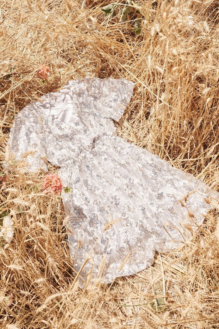 Chandelier Sequin Dress In Silver - St Frock (Dev)
