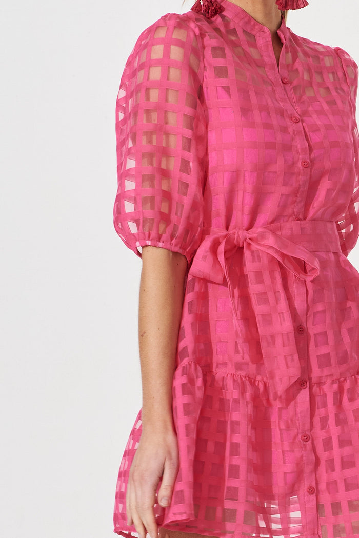Giuliette Dress In Hot Pink Organza - detail