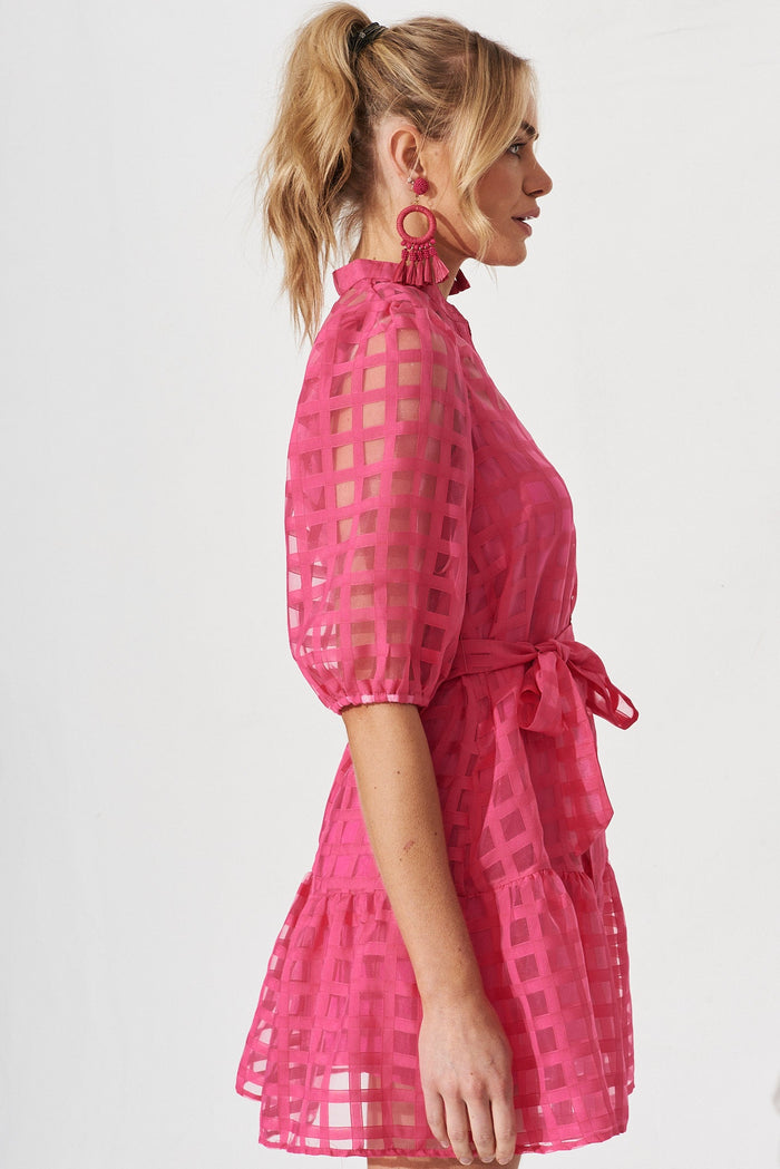 Giuliette Dress In Hot Pink Organza - side
