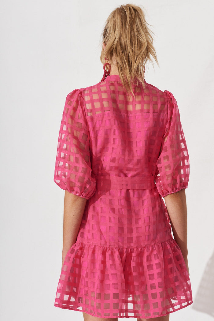 Giuliette Dress In Hot Pink Organza - back