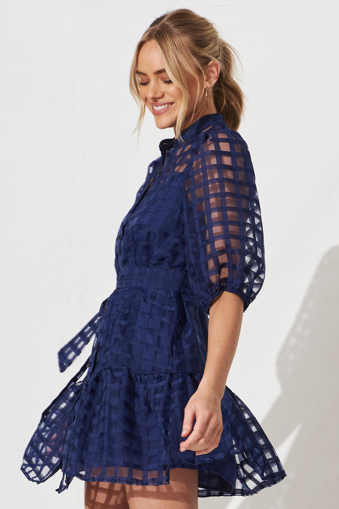 Giuliette Dress In Navy Organza - side