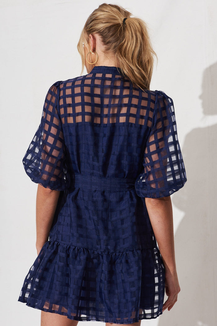 Giuliette Dress In Navy Organza - back