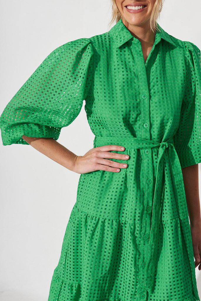 Gigi Midi Shirt Dress In Green Organza - detail