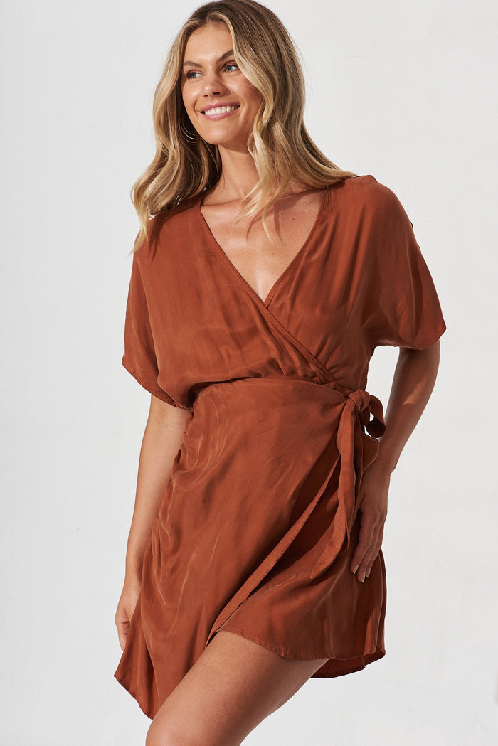 Armenia Dress In Brown - St Frock (Dev)