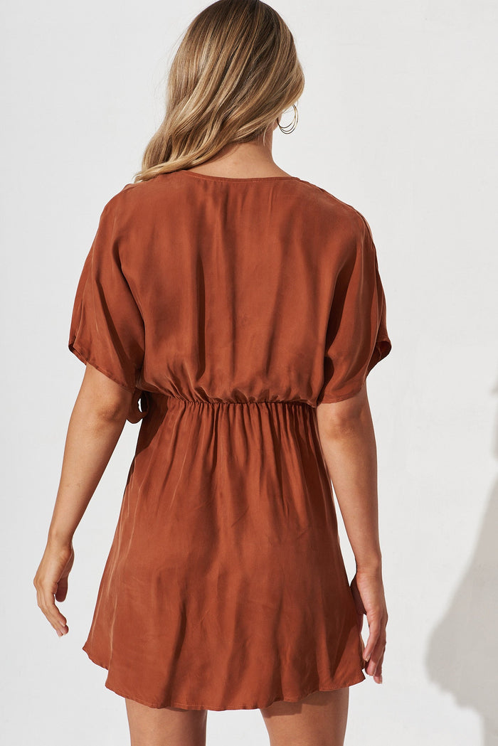 Armenia Dress In Brown - St Frock (Dev)